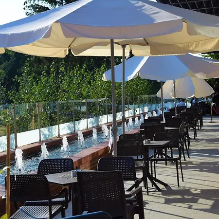 Greys Polonia * Zasutowo