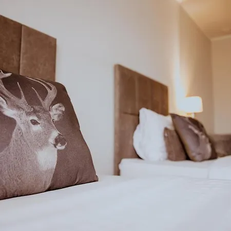 Greys Polonia * Zasutowo