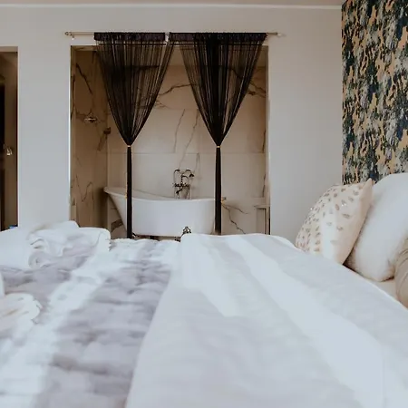 Greys Polonia * Zasutowo