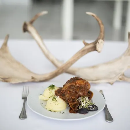 Hostal Greys Polonia *