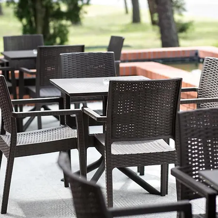 Greys Polonia Zasutowo