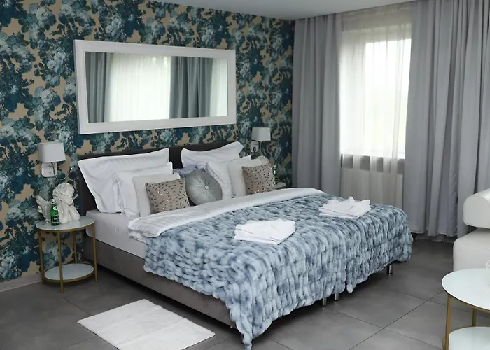 Greys Polonia * Zasutowo