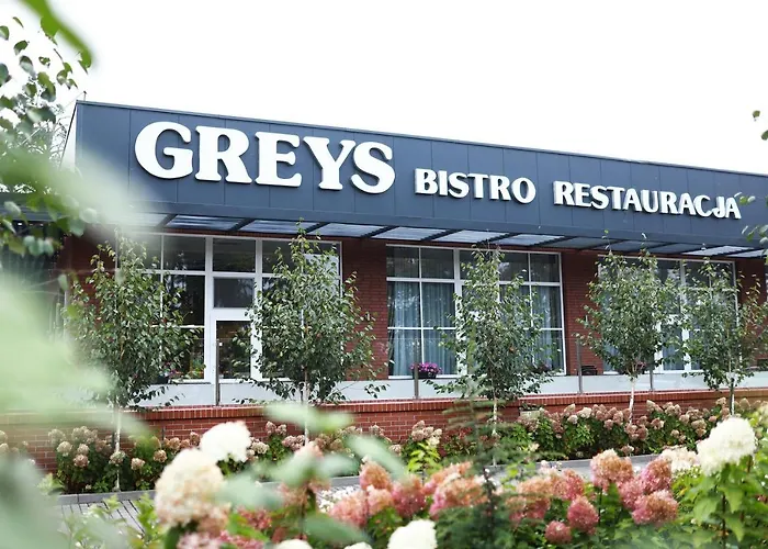 Greys Polonia Zasutowo