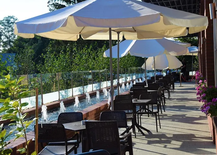 Greys Polonia * Zasutowo