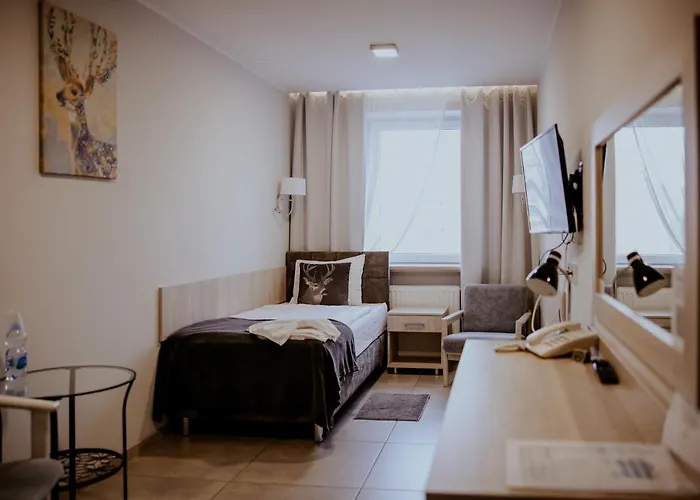 Greys Polonia بيت شباب *