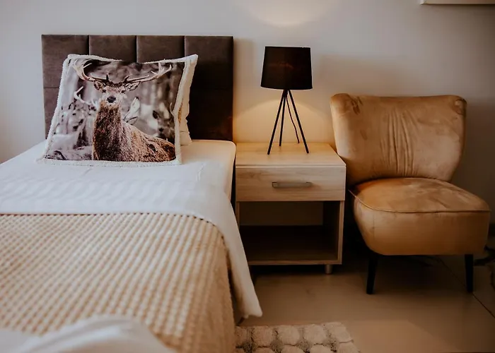 Greys Polonia بيت شباب *