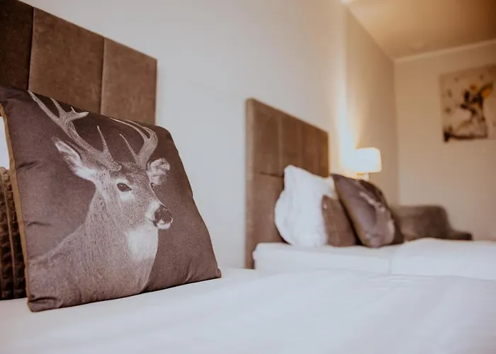 Greys Polonia * Zasutowo