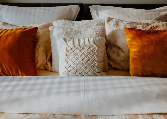 بيت شباب Greys Polonia