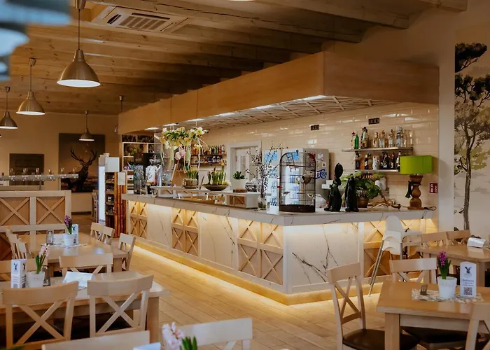 بيت شباب Greys Polonia