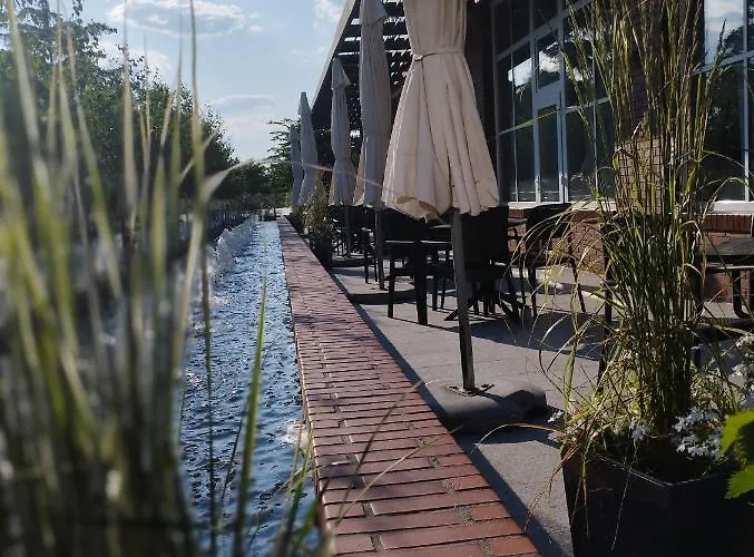 بيت شباب Greys Polonia *