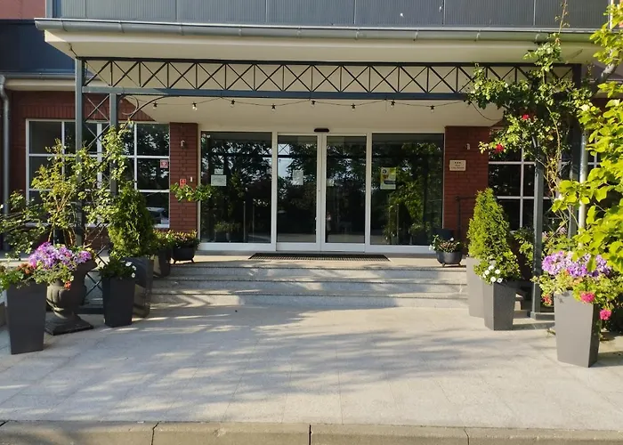 Greys Polonia بيت شباب *