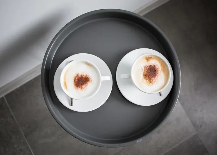 Greys Polonia * Zasutowo