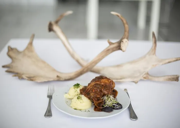 بيت شباب Greys Polonia *