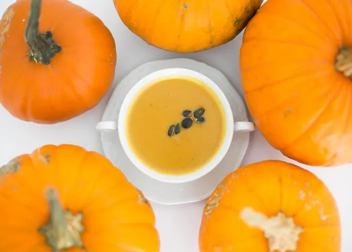 بيت شباب Greys Polonia Zasutowo