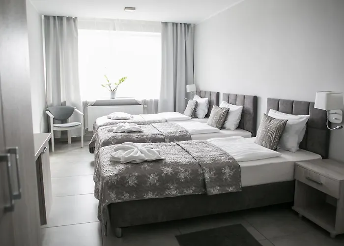 Greys Polonia بيت شباب